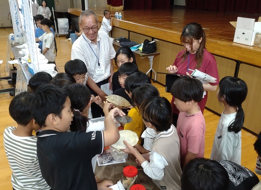 生物標本の観察